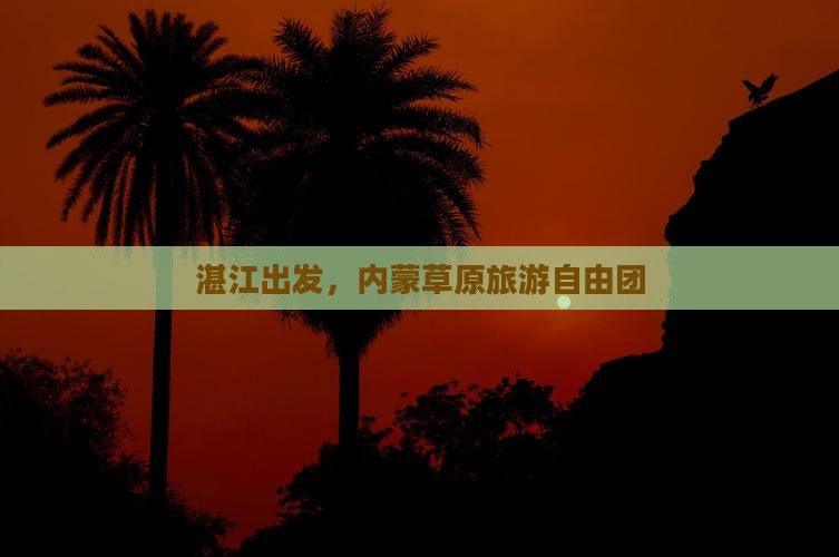 湛江去内蒙自由团