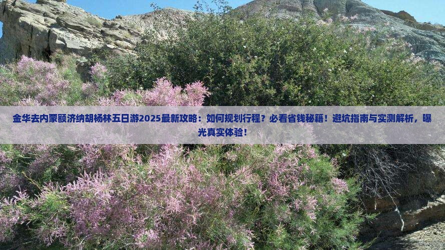 金华去内蒙额济纳胡杨林五日游