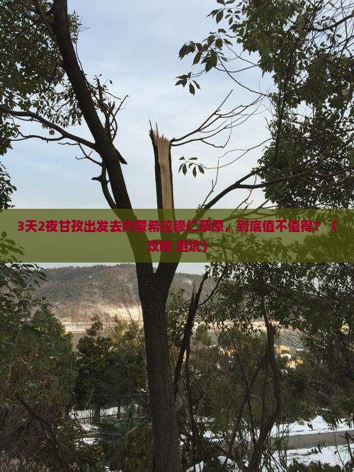 甘孜去内蒙希拉穆仁草原三日游