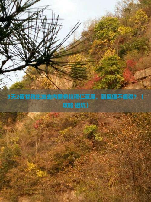 甘孜去内蒙希拉穆仁草原三日游