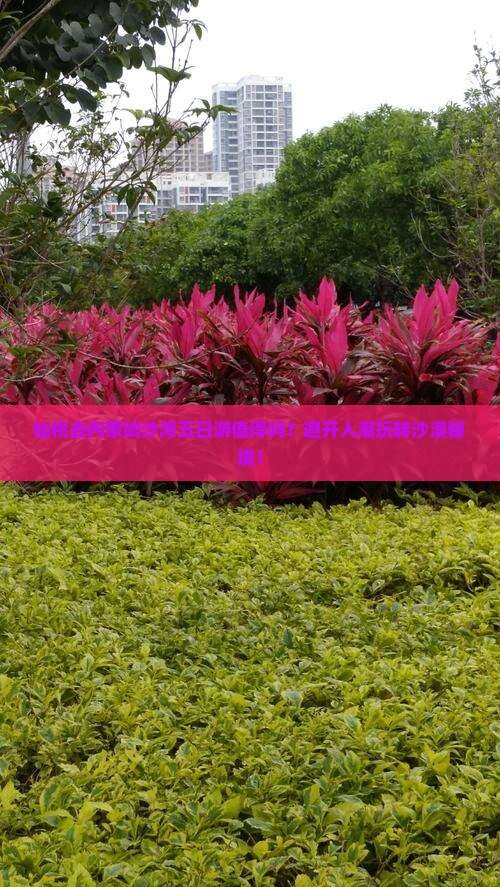 仙桃去内蒙响沙湾五日游