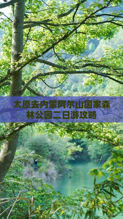 太原去内蒙阿尔山国家森林公园二日游