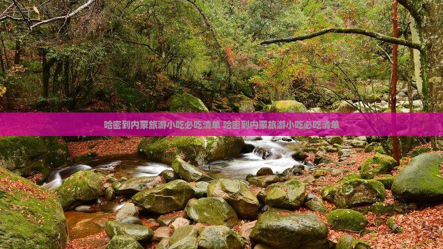 哈密到内蒙旅游小吃