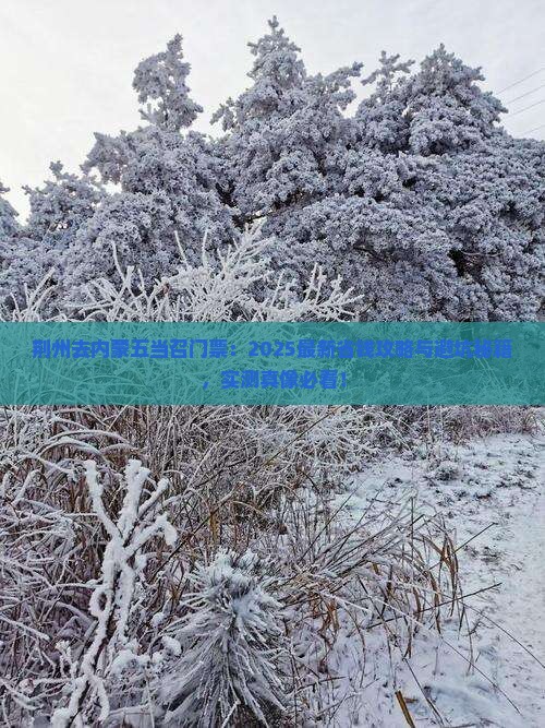 荆州去内蒙五当召门票