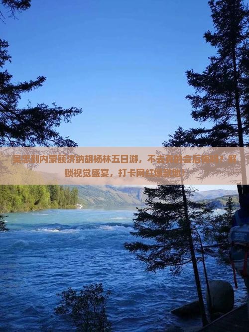 吴忠到内蒙额济纳胡杨林五日游