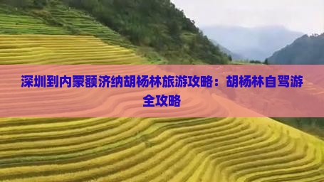 深圳到内蒙额济纳胡杨林自由团