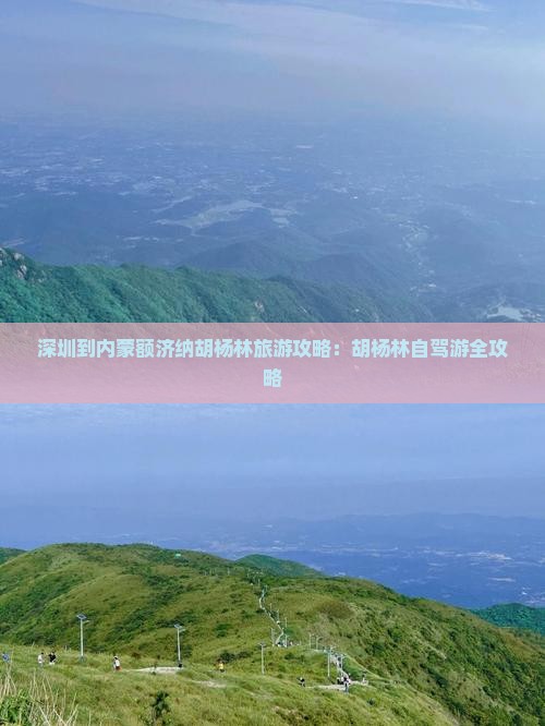 深圳到内蒙额济纳胡杨林自由团