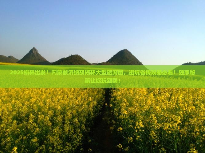榆林去内蒙额济纳胡杨林大型旅游团