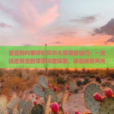 昌吉到内蒙呼伦贝尔大草原自由行