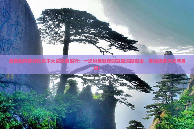昌吉到内蒙呼伦贝尔大草原自由行