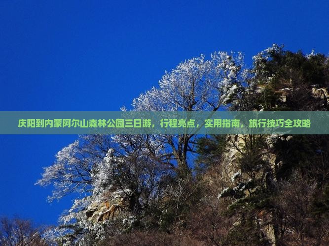 庆阳到内蒙阿尔山国家森林公园三日游