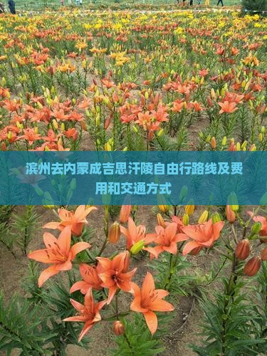 滨州去内蒙成吉思汗陵自由行