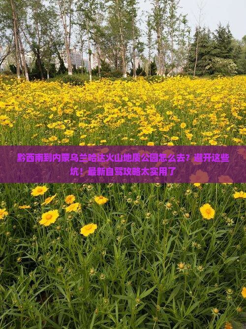 黔西南到内蒙乌兰哈达火山地质公园必去地