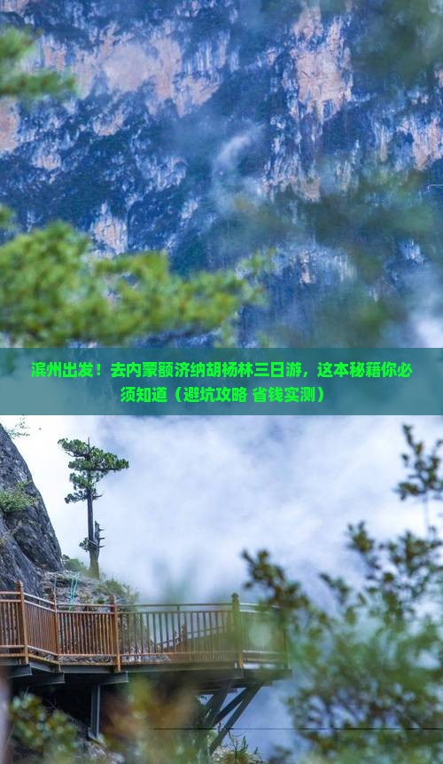 滨州去内蒙额济纳胡杨林三日游