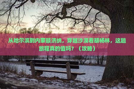 哈尔滨到内蒙额济纳胡杨林旅游