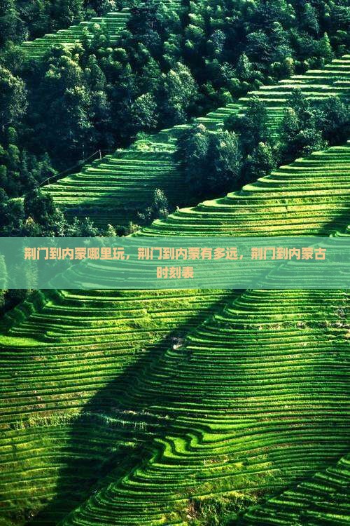 荆门到内蒙哪里玩