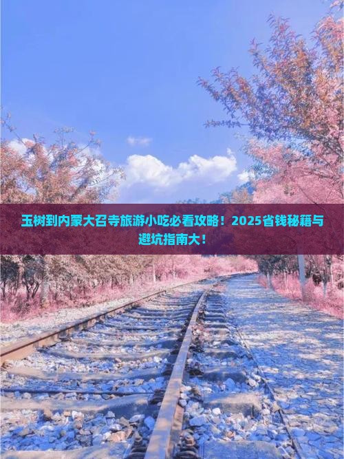 玉树到内蒙大召寺旅游小吃