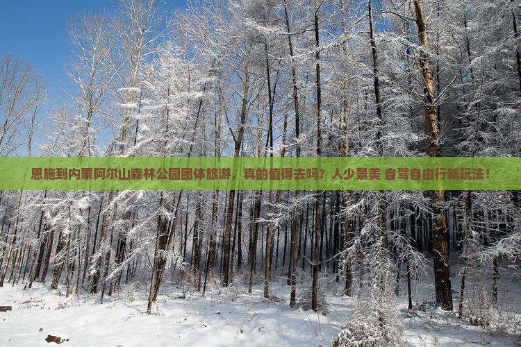 恩施到内蒙阿尔山国家森林公园团体旅游