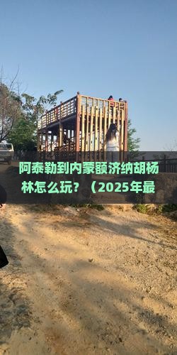 阿泰勒到内蒙额济纳胡杨林攻略