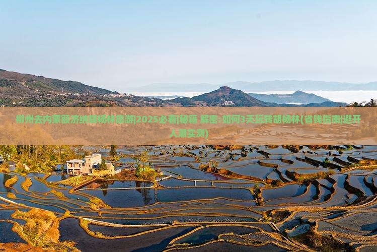 柳州去内蒙额济纳胡杨林旅游