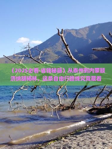 泰州到内蒙额济纳胡杨林自由行