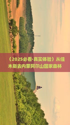 佳木斯到内蒙阿尔山国家森林公园攻略 佳木斯到内蒙阿尔山国家森林公园攻略