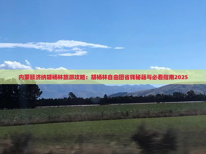 劳动节到内蒙额济纳胡杨林自由团