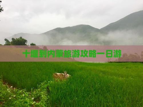十堰到内蒙一日游