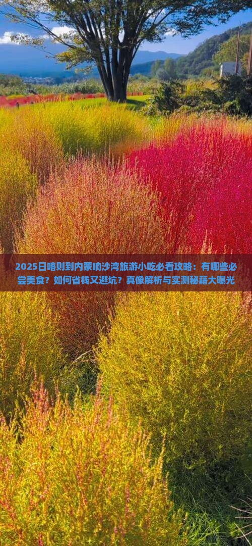 日喀则到内蒙响沙湾旅游小吃