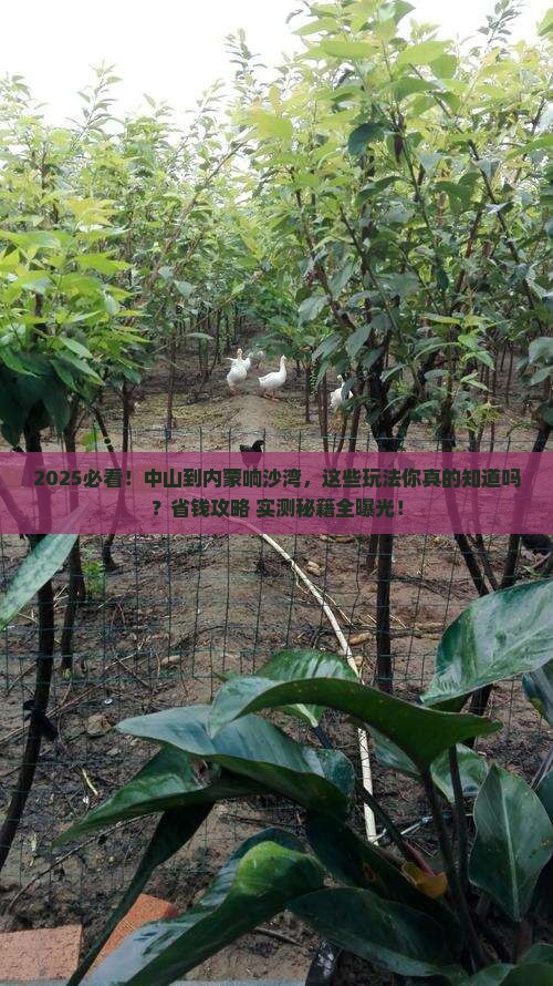 中山到内蒙响沙湾哪里玩
