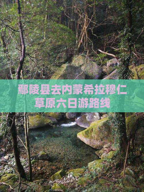 鄢陵县去内蒙希拉穆仁草原六日游