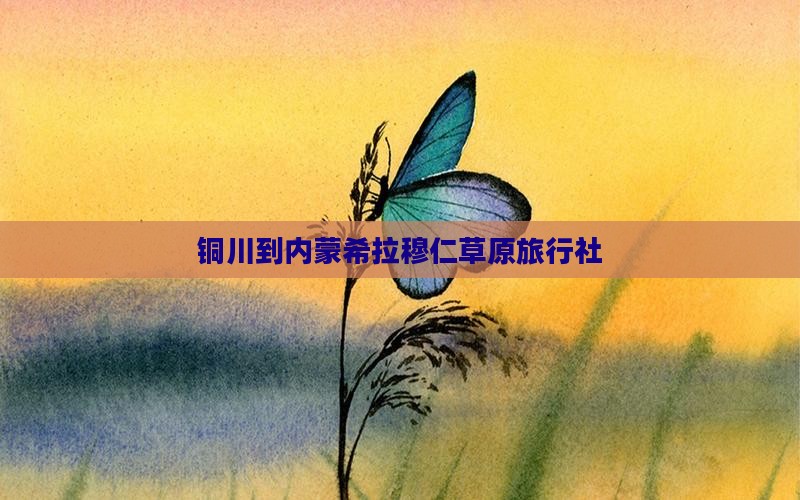铜川到内蒙希拉穆仁草原旅行社