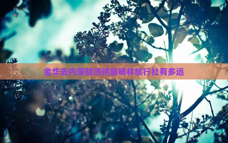 金华去内蒙额济纳胡杨林旅行社