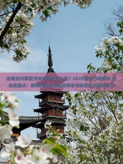 运城去内蒙额济纳胡杨林必去地