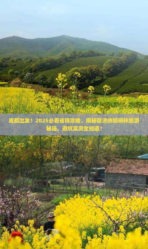 成都到内蒙额济纳胡杨林旅游