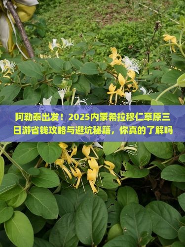 阿勒泰去内蒙希拉穆仁草原三日游