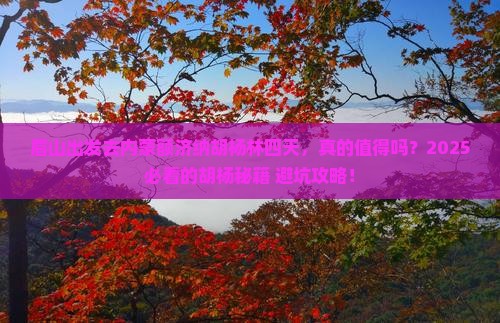 眉山到内蒙额济纳胡杨林四日游