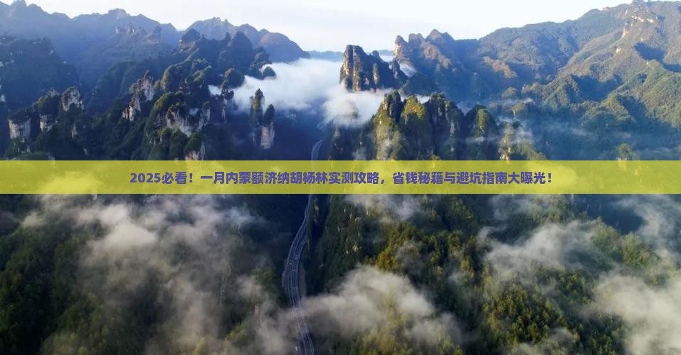 一月到内蒙额济纳胡杨林攻略