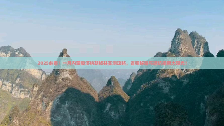 一月到内蒙额济纳胡杨林攻略