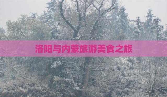 洛阳去内蒙旅游小吃