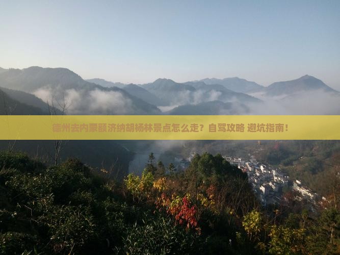 德州去内蒙额济纳胡杨林景点
