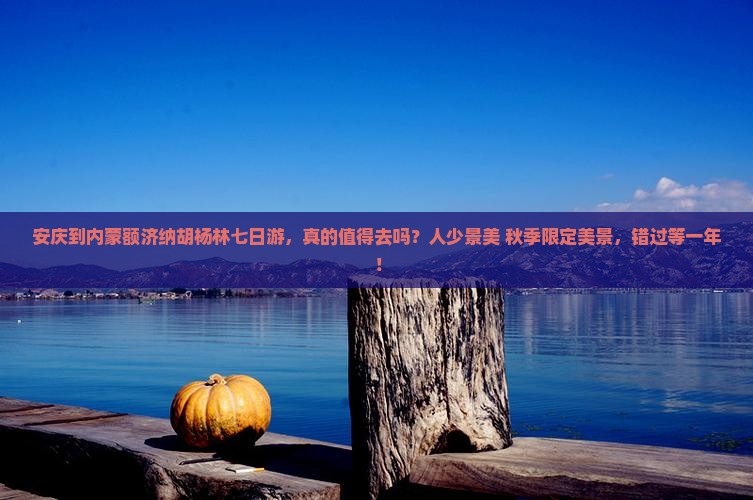 安庆到内蒙额济纳胡杨林七日游