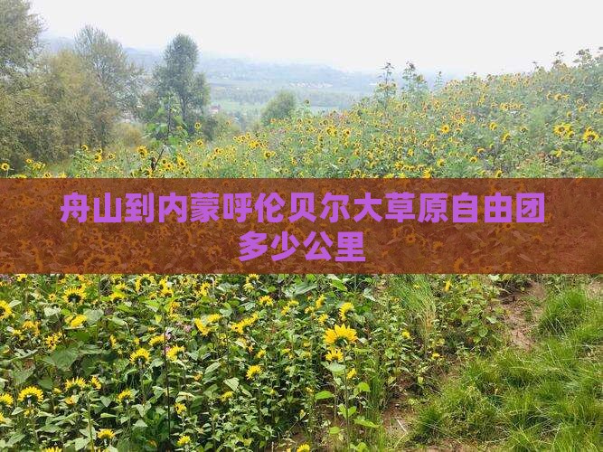 舟山到内蒙呼伦贝尔大草原自由团