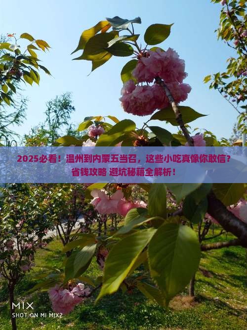 温州到内蒙五当召旅游小吃