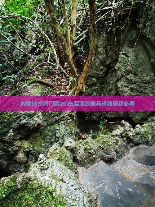 鹤岗到内蒙响沙湾门票