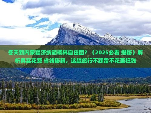 冬天到内蒙额济纳胡杨林自由团