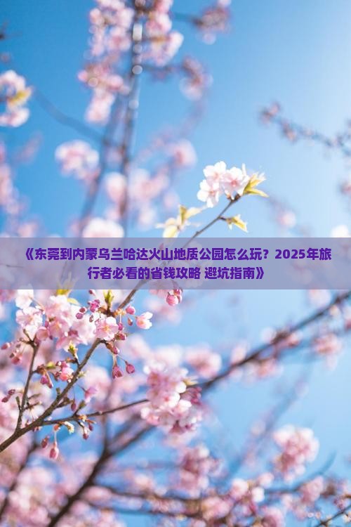 东莞去内蒙乌兰哈达火山地质公园攻略