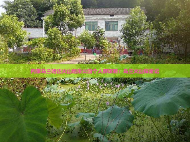 河源到内蒙乌兰哈达火山地质公园个人游