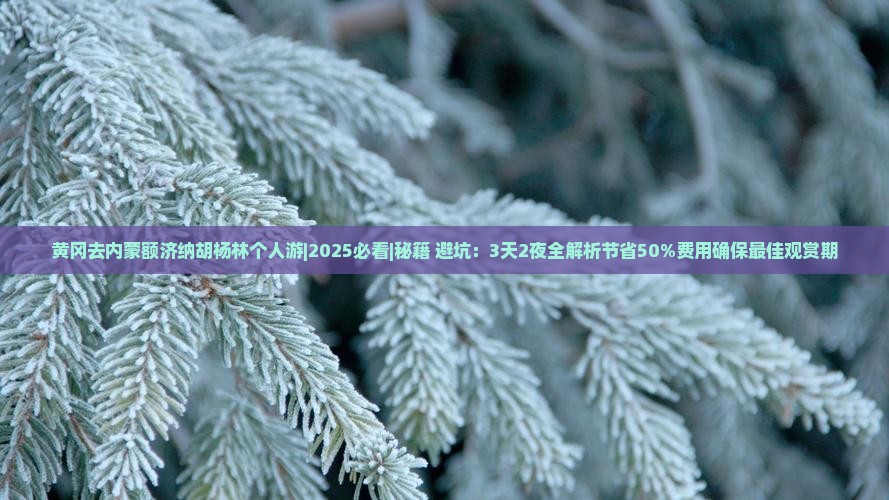 黄冈去内蒙额济纳胡杨林个人游