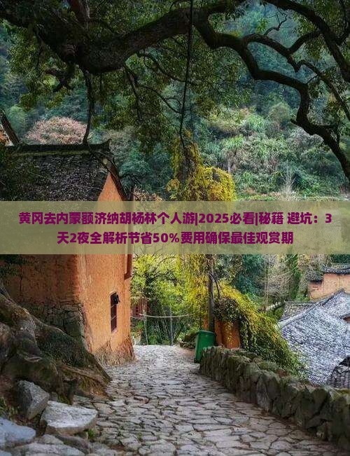 黄冈去内蒙额济纳胡杨林个人游
